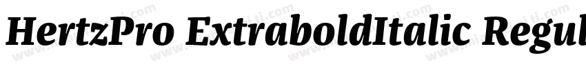 HertzPro ExtraboldItalic Regular字体转换